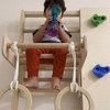 Curious Cub Wall Mounted Jungle Gym