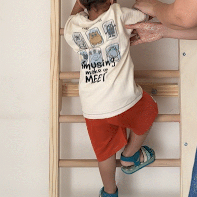 Curious Cub Wall Mounted Jungle Gym