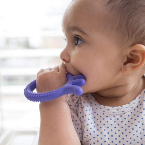 Dr Browns Flexees Friends Teether